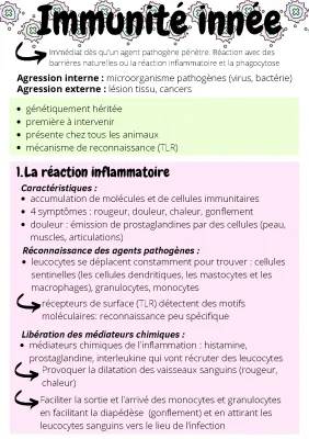 Découvre le Système Immunitaire et la Phagocytose pour les Jeunes