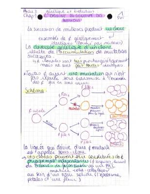 Cours SVT Génétique et Évolution Terminale - Fiches et Exercices