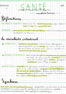 Découvre le Microbiote Intestinal : Rôle, Composition et Où Il Se Trouve - SVT Pour Toi!