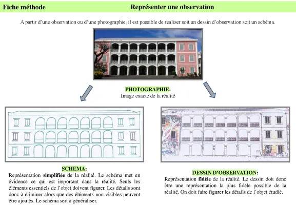 Super Fiche Méthode Dessin d'Observation SVT et Arts Plastiques