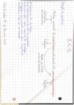 Méthodologie EC1 et EC2