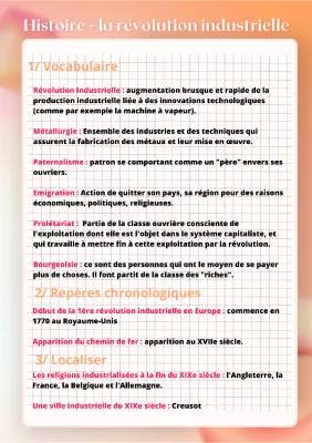 Résumé et Fiche sur la Révolution Industrielle et l'Immigration Irlandaise au 19ème Siècle