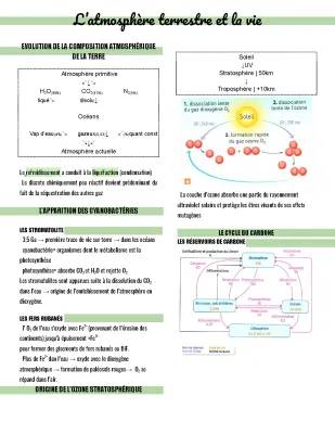 L’atmosphère primitive et terrestre : Exercice corrigé SVT, Schémas et Explications