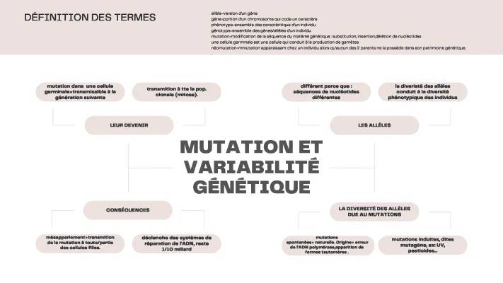 Mutations Génétiques et Variabilité - Cours PDF & Exemples pour SVT