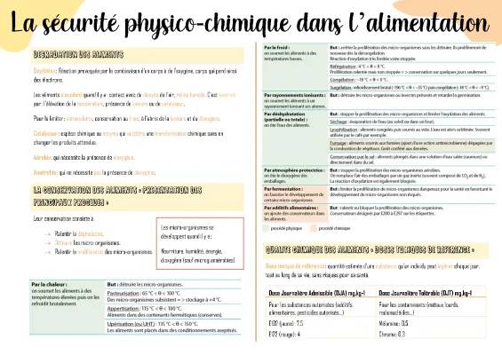 Découvre les Techniques de Conservation des Aliments - PDF pour Enfants