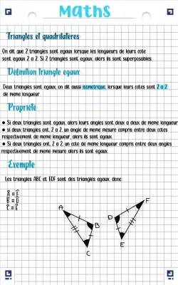 Triangles égaux et quadrilatères 4ème - Exercices corrigés PDF