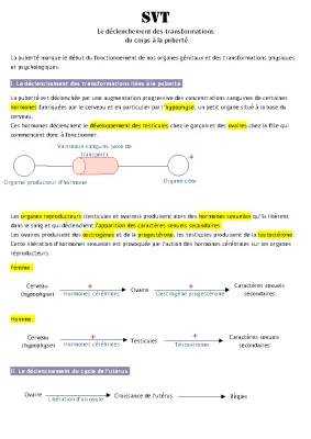 Tableau des transformations à la puberté: Étapes et changements pour garçons et filles