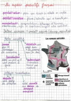 Comprendre les espaces productifs en France et leur lien avec la mondialisation