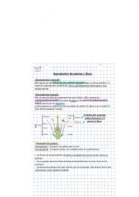 Schéma et Types de Reproduction chez les Plantes à Fleurs - PDF