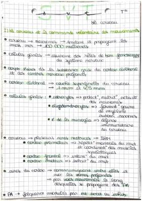La plasticité cérébrale et la motricité volontaire : Fiche de révision SVT Terminale