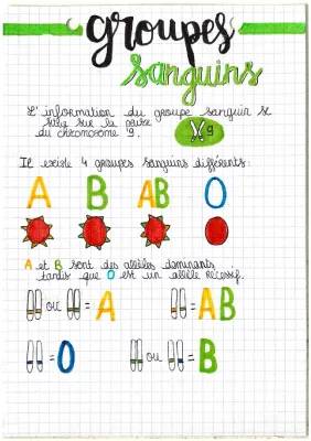 Les Groupes Sanguins: Tableau Père et Mère, Allèles et Chromosomes