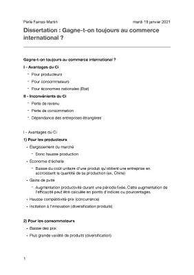 Les Avantages et Inconvénients du Commerce International Pour les Enfants - PDF Résumé