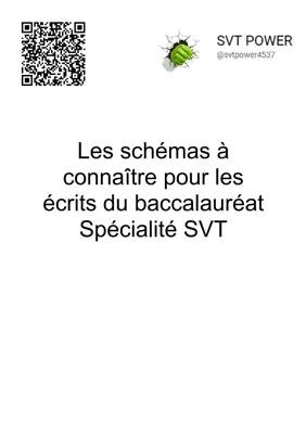 Tout sur le Schéma SVT pour le Bac : Trisomie 21, Brassage Génétique et Plus !