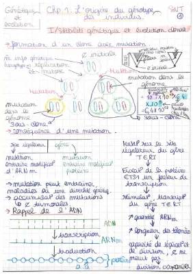 L’origine du génotype des individus