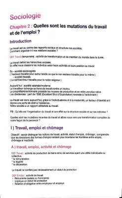 Le Travail et l'Organisation : Découvre les Mutations et la Protection Sociale