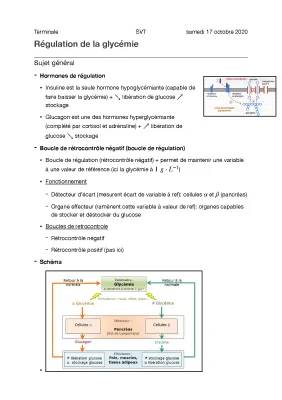 Cours PDF sur la Régulation de la Glycémie - Exercices Corrigés et Schémas