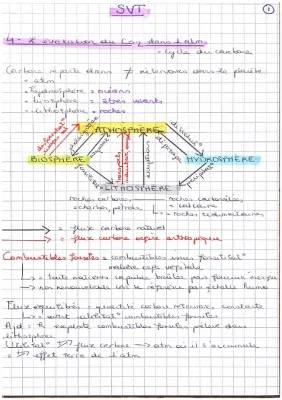 Schéma Simplifié du Cycle du Carbone et Effet de Serre PDF