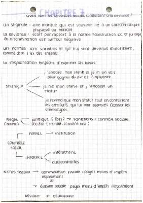 Processus sociaux et déviance: Introduction et exemples PDF