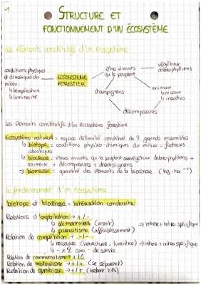 Tout sur l'Écosystème Forestier: Définition, Schéma, et Exemples