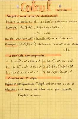 Découvre la Simple et Double Distributivité en Mathématiques !