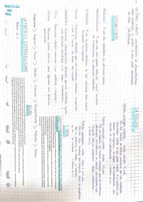 Différence entre organismes unicellulaires et pluricellulaires - SVT Seconde