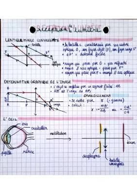 Perception de la lumière 