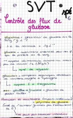 Sujet bac SVT: Le contrôle des flux de glucose – Schéma et Régulation de la Glycémie