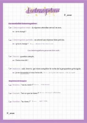 Les règles de l'interrogation en français : Total ou Partiel ?