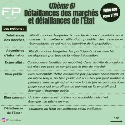 Cours économie Terminale STMG PDF : Défaillances du marché et de l'État