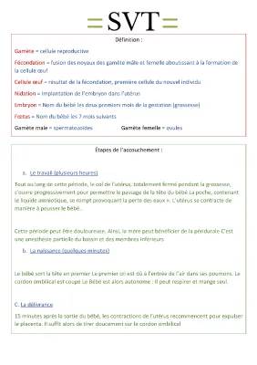 Les 5 étapes de l'accouchement et les trois phases en images