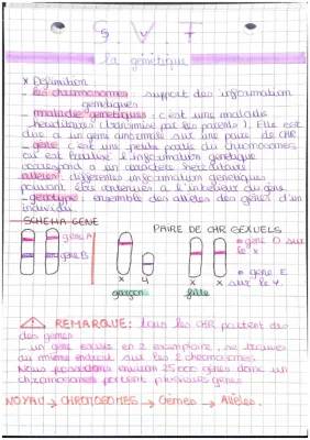 Cours SVT 3ème: Les Maladies Génétiques et Chromosomes