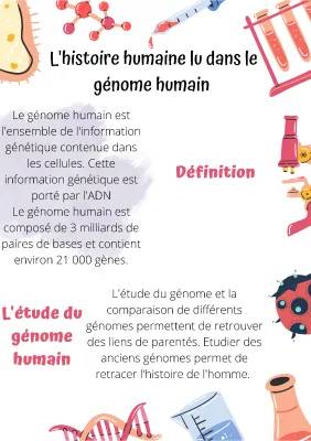 l'histoire humaine lu dans le génome humain