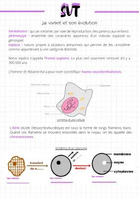 L'évolution de l'Homme et l'ADN: Du Homo Sapiens aux Chromosomes