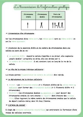 Schéma Chromosome 3ème: De Quoi Est Constitué un Chromosome et Évolution ADN