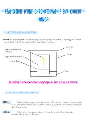 Chromatographie sur Couche Mince: TP Corrigé et Schéma PDF