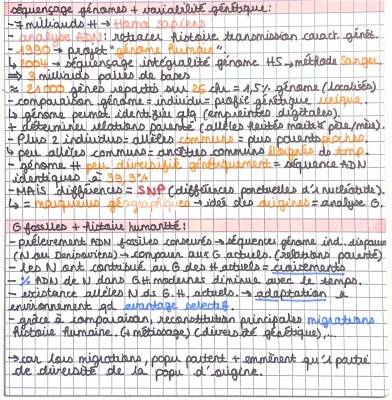 L'Histoire Humaine dans le Génome: Premier Séquençage et Plus