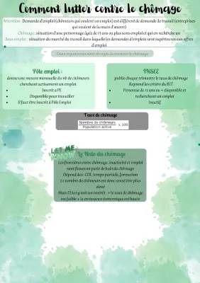 1000 Idées et Solutions pour Lutter Contre le Chômage - Fiche PDF pour Terminale SES