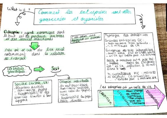 Mémoire et Exposé sur la Gouvernance d'Entreprise PDF: Types, Définitions et Conflits d'Intérêt