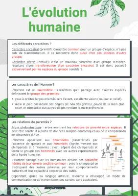 L'évolution Humaine pour Collégiens - Schémas, Exercices et Corrigés