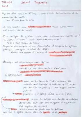 Les dangers de la démocratie selon Tocqueville : De la démocratie à la tyrannie