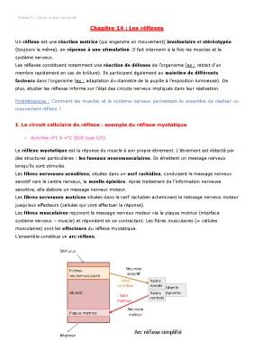 Les réflexes et le trajet du message nerveux - SVT simple