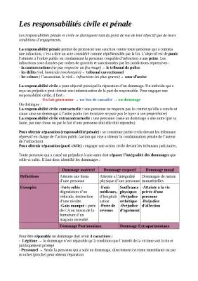 Les types de responsabilités en droit STMG - Civil et Pénal