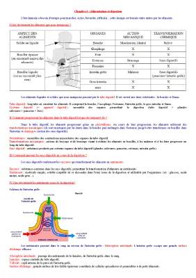 La digestion des aliments 5ème : Trajet, Transformation et Exercices corrigés en PDF