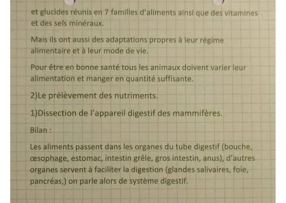 Nutrition des Animaux SVT 4ème et 5ème - Alimentation Domestique et d'Élevage PDF