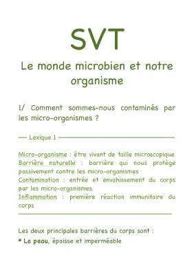 Comment les microbes nous contaminent-ils ? Découvre si tous les micro-organismes sont dangereux !