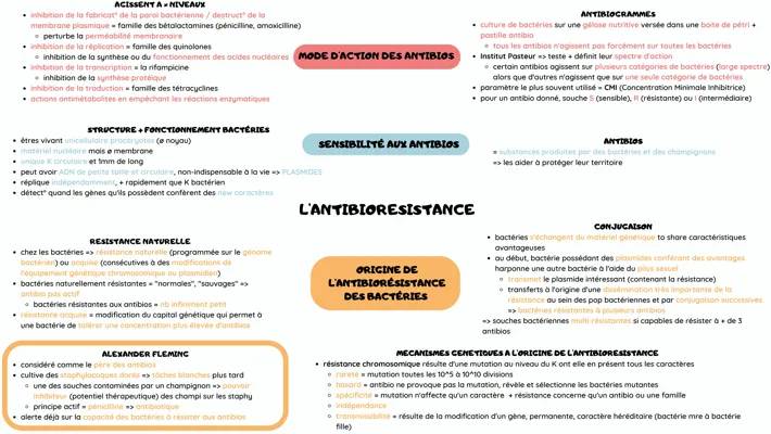 Tout sur les antibiotiques : Comment ils fonctionnent et pourquoi certaines bactéries résistent