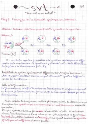 Comprendre la diversité génétique humaine et ses origines - SVT pour les jeunes