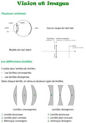 Découvre les Lentilles Convergentes et Divergentes : Exercices, Schémas, et Vergence