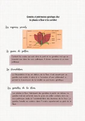 Fécondation et Reproduction des Plantes à Fleurs et des Animaux