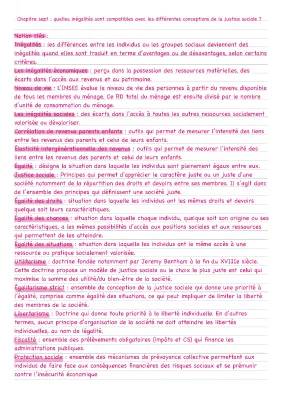 quelles inégalités sont compatibles avec les différentes conceptions de la justice sociale ?